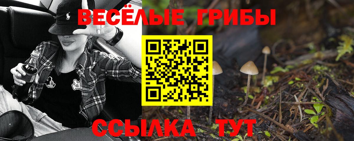 Белогорск  Псилоцибиновые грибы ЛСД  где можно купить   Вход с VPN 