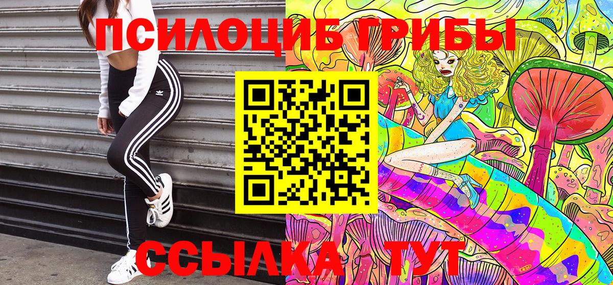 Псилоцибиновые грибы GOLDEN TEACHER Белогорск